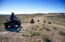 Marrakech Quad Bike ATV on the Palm Groves