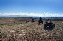 Marrakech Quad Bike ATV on the Palm Groves