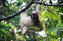 Arenal Volcano Full-Day Combo Tour with Lunch and Dinner