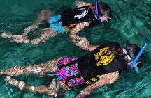 Turtle Snorkeling Adventure from Cancun