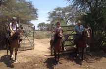 4-Hours Horse riding, Inca pyramids in world's largest dry forest