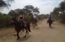 4-Hours Horse riding, Inca pyramids in world's largest dry forest