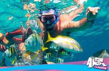 Cancun Adults Only Party Cruise to Isla Mujeres with Open Bar