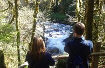 Private Cascade Mountains and Waterfalls Tour from Seattle