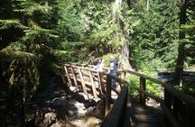 Private Cascade Mountains and Waterfalls Tour from Seattle