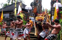 Bali Highlight Tours