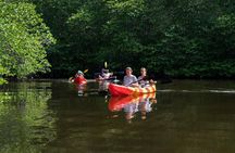 Snorkeling Day Trip To Lembongan and Penida