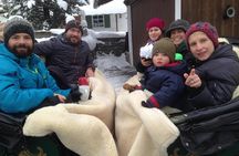 Horse Carriage Tour of Garmisch-Partenkirchen 