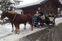 Horse Carriage Tour of Garmisch-Partenkirchen 