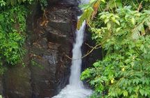 North Island Tour And Martinique Best Secret