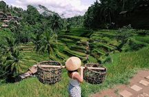 Skip-the-Line: Ubud Tour - All Inclusive Tickets