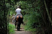 Horse Riding Small Group near Lucca
