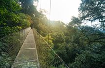 Arenal Hanging Bridges Hiking Tour