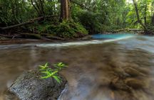 Blue River and Tenorio Volcano National Park Hike