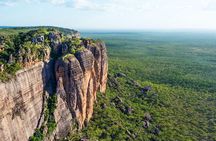 Darwin to Kakadu Day Trip by Air Including Yellow Water Cruise