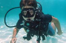 PADI Discover Scuba Diving in Koh Tao - half day and two dives