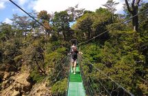 Volcano Crater Tour and Waterfalls
