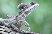 Palo Verde National Park Boat Tour