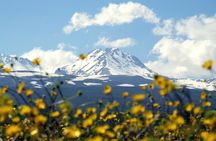 Group Tour: Amberd, Aragats, Lake Kari, Saghmosavank, Alphabet