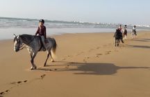 Horse Ride on the Beach in Essaouira