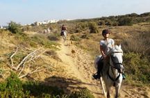 Horse Ride on the Beach in Essaouira