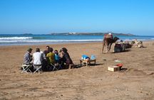 Day Camel Ride with Picnic on Essaouira's beach