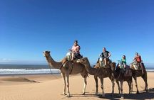 Day Camel Ride with Picnic on Essaouira's beach