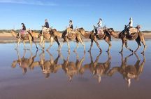 Day Camel Ride with Picnic on Essaouira's beach