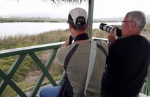 Pantanos de Villa Wildlife Refuge Tour in Lima