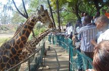 Mombasa Private City Tour & Haller park Sanctuary with sea food luch