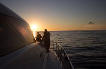 Sunset & Champagne Cruise for 2 pax on TIGGER 2 ( Guaranteed departure )