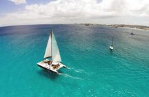 Barbados Catamaran Turtle Snorkel with Open Bar 