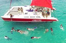 Barbados Catamaran Turtle Snorkel with Lunch and Open Bar 