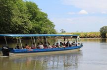 Jungle Cruise at Palo Verde National Park