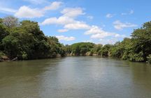 Jungle Cruise at Palo Verde National Park