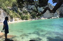 Cathedral Cove Day Trip from Auckland