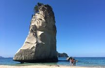 Cathedral Cove Day Trip from Auckland