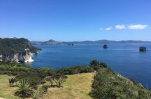Cathedral Cove Day Trip from Auckland
