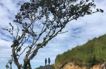 Cathedral Cove Day Trip from Auckland