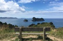 Cathedral Cove Day Trip from Auckland
