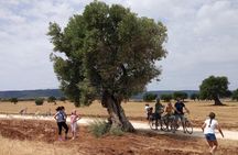 Puglia Bike Tour: Cycling Through the History of Extra Virgin Olive Oil