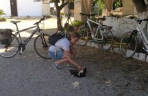 Puglia Bike Tour: Cycling Through the History of Extra Virgin Olive Oil