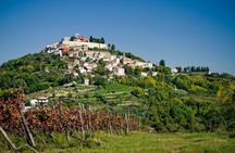 Half day trip to Motovun with Local Brandies Tasting