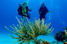 First Time Scuba Diving Experience in Punta Cana