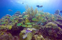 First Time Scuba Diving Experience in Punta Cana
