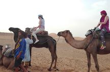  7 Night Sahara Caravan Road 