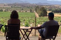 Guadalupe Valley Wine Route Tour in Baja California