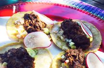 Guadalupe Valley Wine Route Tour in Baja California