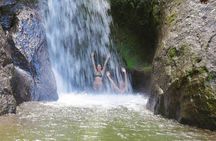 4x4 Jungle Safari to Waterfall & Delicious Rainforest Lunch