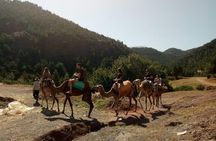Full-Day Excursion to 3 Valleys from Marrakech Marrakech